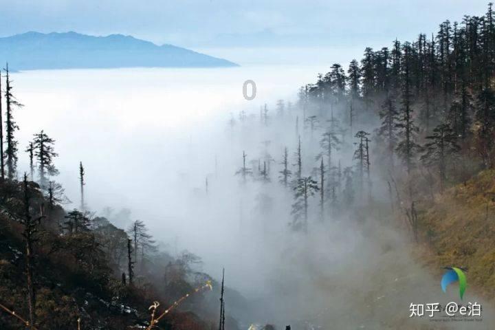 驱灵师